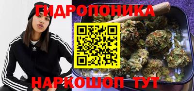 метадон Малгобек